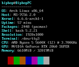 neofetch capture of the same machine from a bare tty