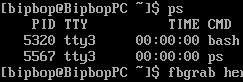 ps on the bare tty showing only bash and ps left running